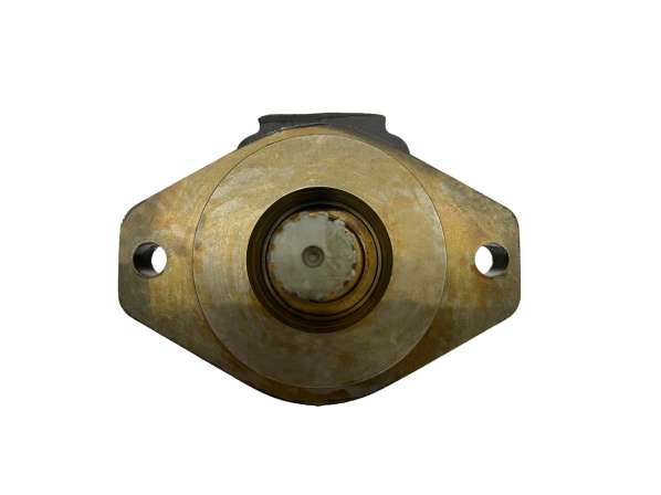 OT017661 - 219000064 - Bomba Hidráulica P350A Aplicação: Randon RK406